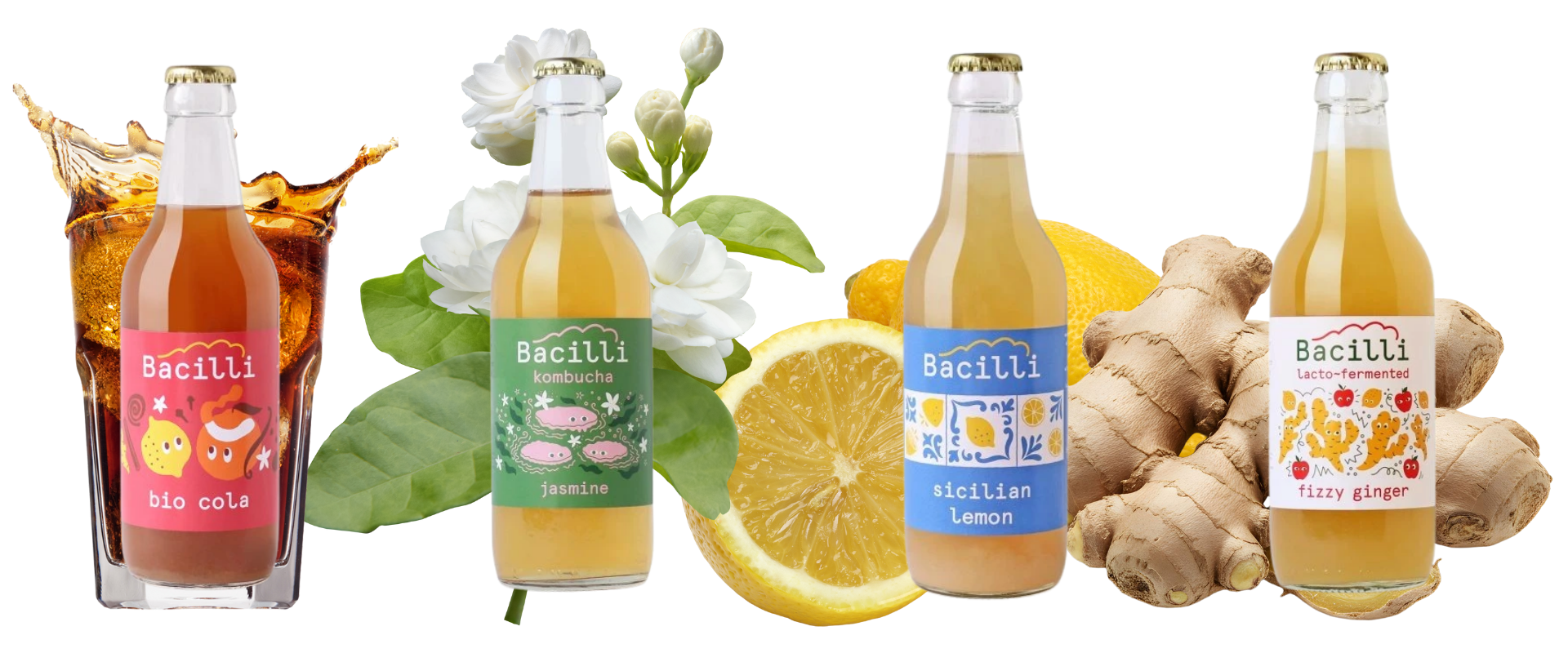bacilli-kombucha-limonady-znacka-banner